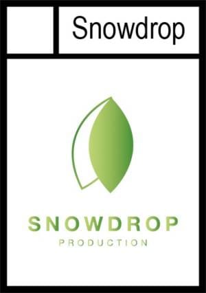 Snowdrop circle cut